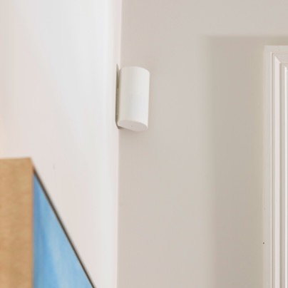 Mobile security motion sensor